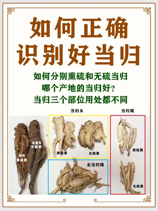 当归服用方法?