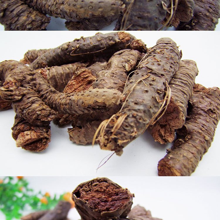 中药红景天的价格是多少