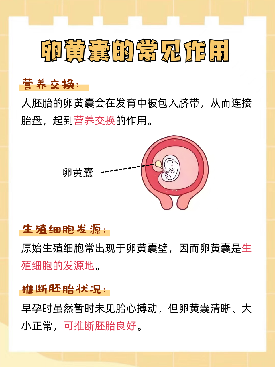 有卵黄囊会胎停育吗