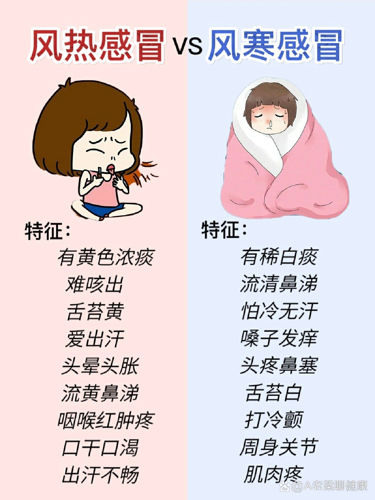 风热感冒是什么原因引起的