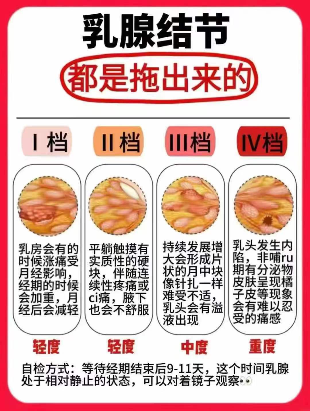 2025年10月8日 第13页