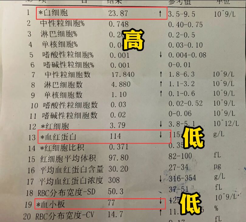 白血病是白细胞高还是低