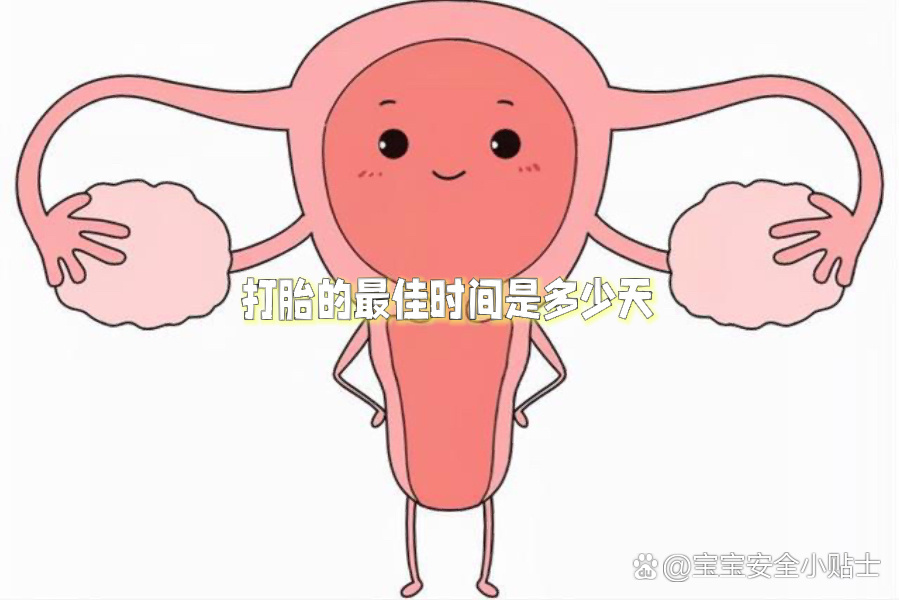 怀孕三个月的打胎方法