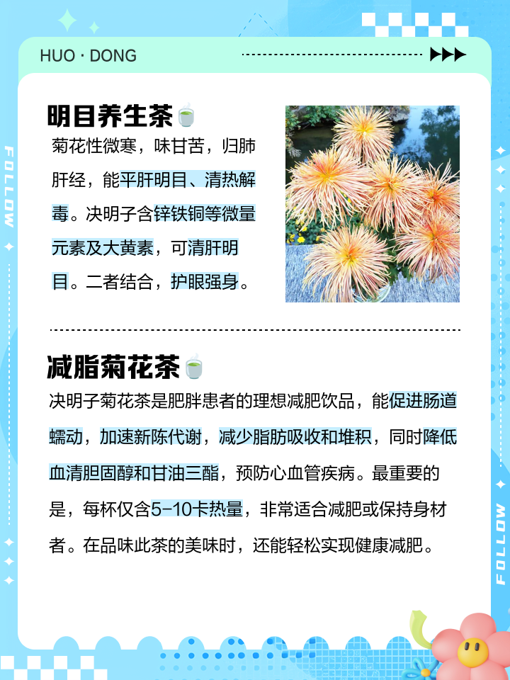 决明子茶的功效及副作用