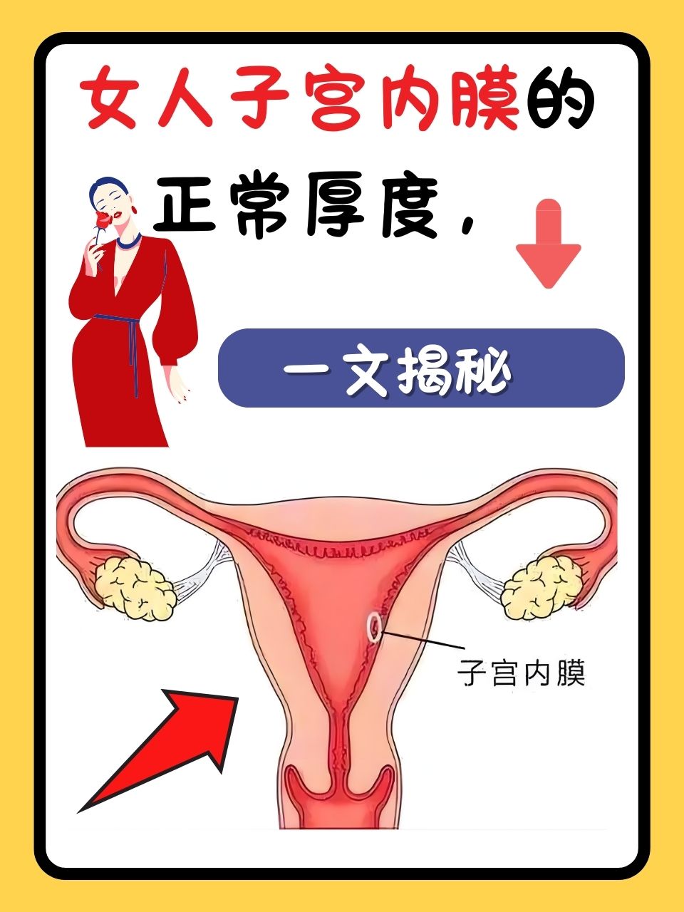 子宫内膜厚度标准是什么