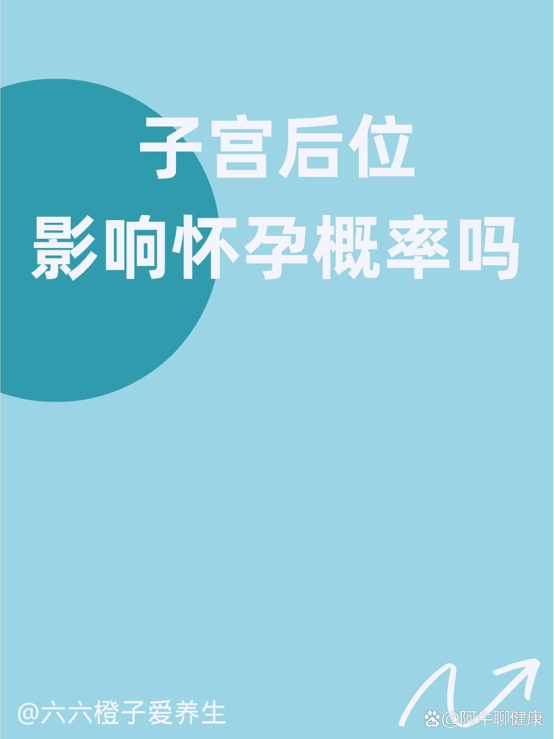 子宫后位是什么意思