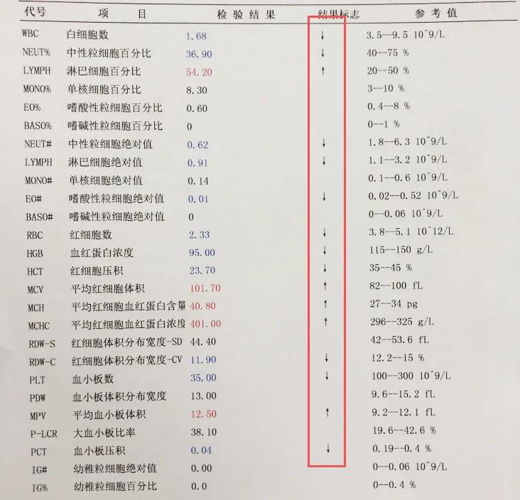 血常规白细胞偏高是什么原因