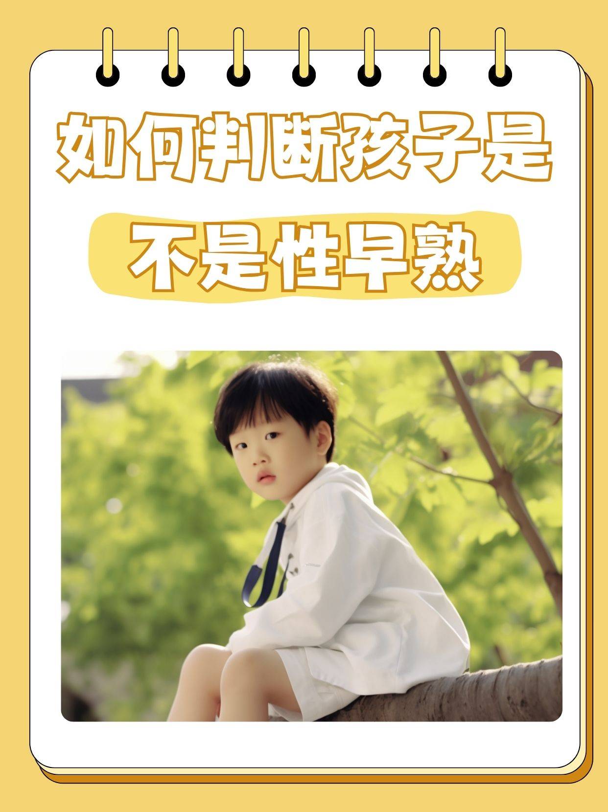 厚珧