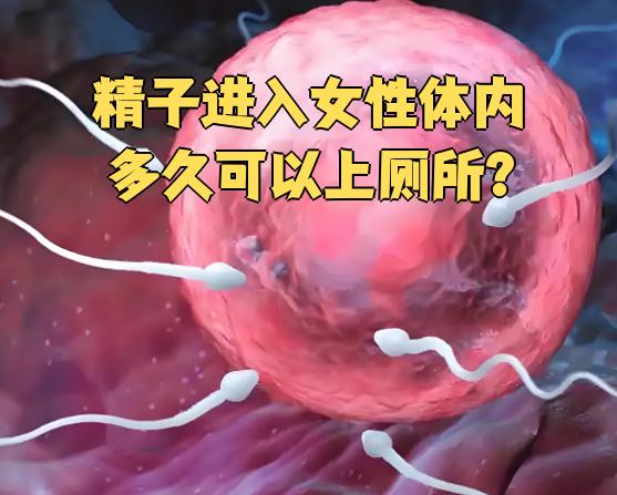 男人的精子对女人有什么好处?