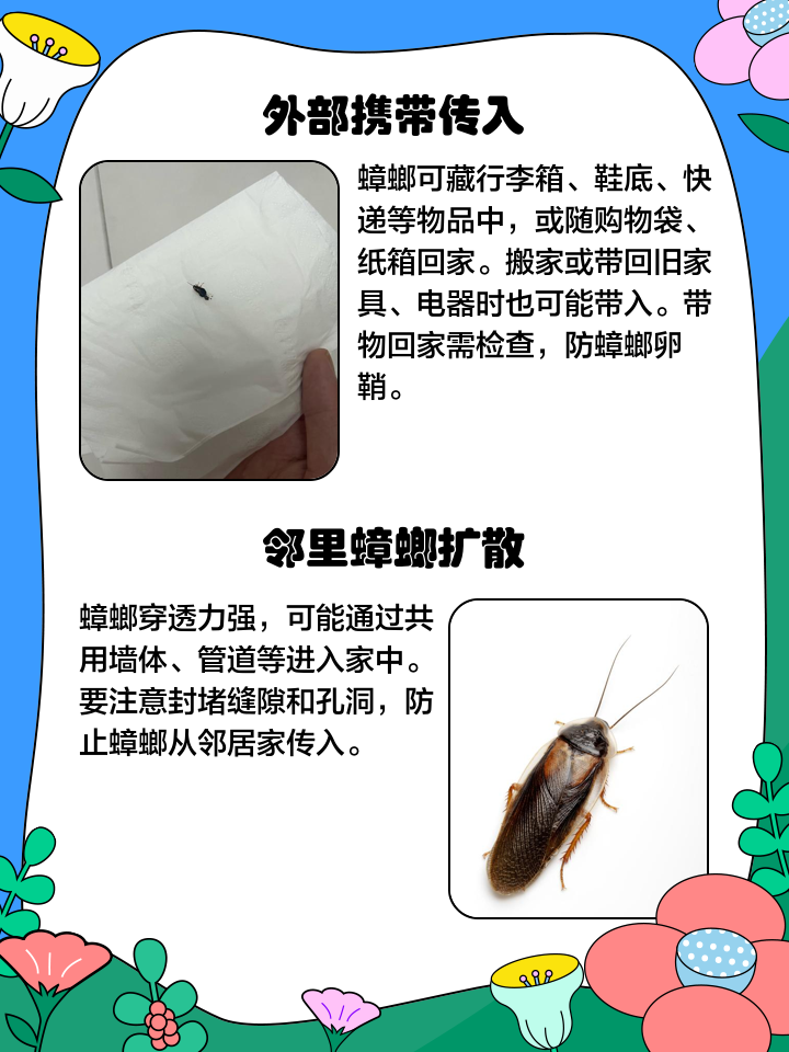 速慧月