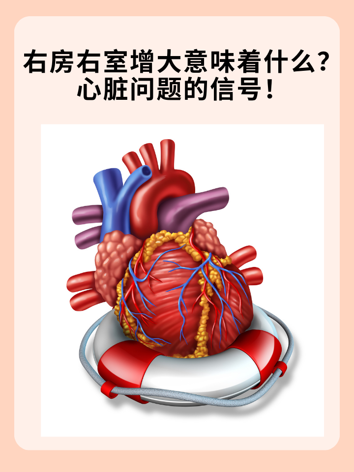 心大是什么意思?