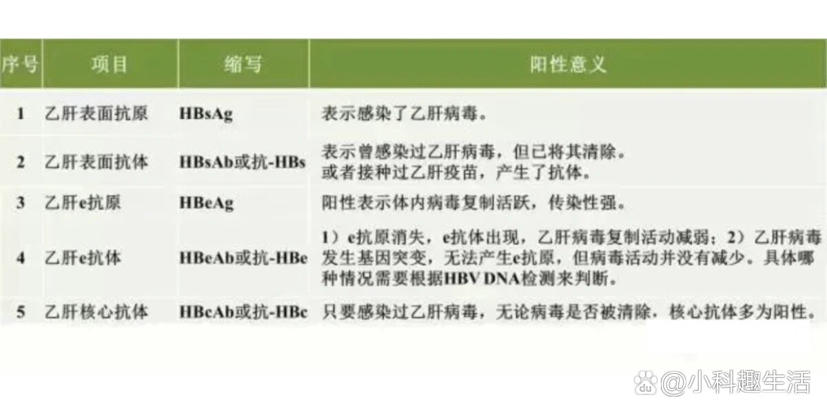 什么是两对半?如何临床意义?