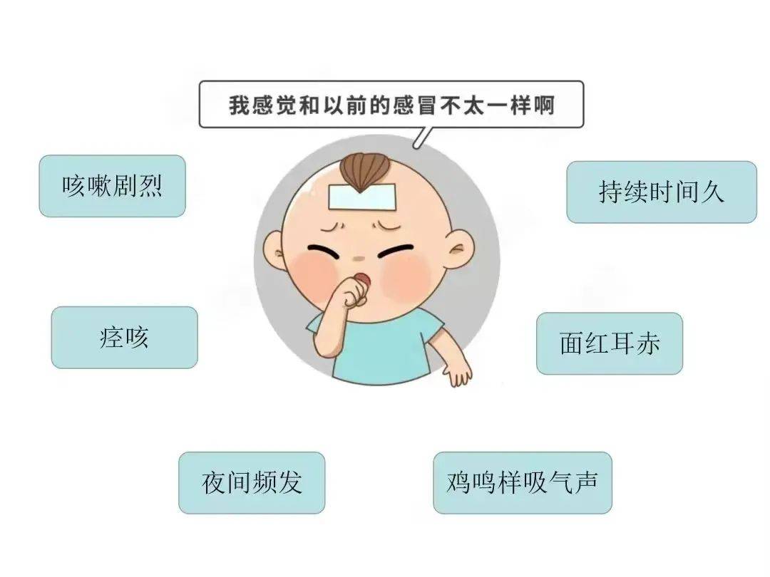 宝宝百日咳如何治疗