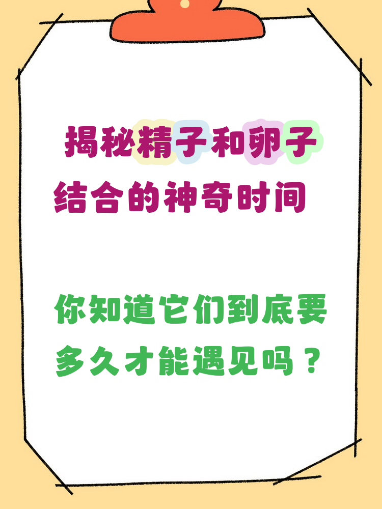 精子卵子结合后多久能受孕