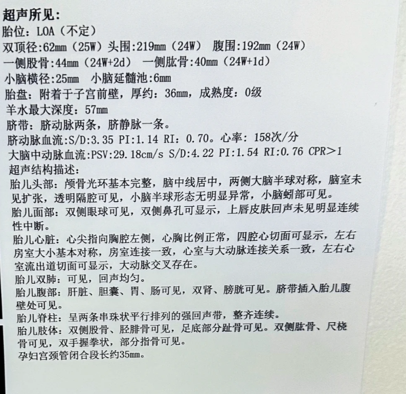 头位是什么意思