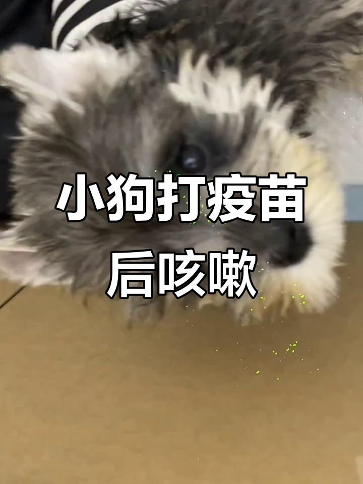 轻微咳嗽能打预防针吗