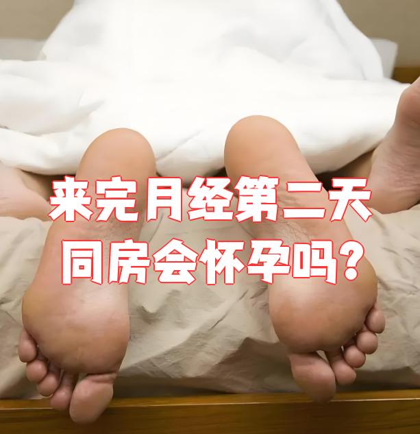 月经前一天同房会怀孕吗