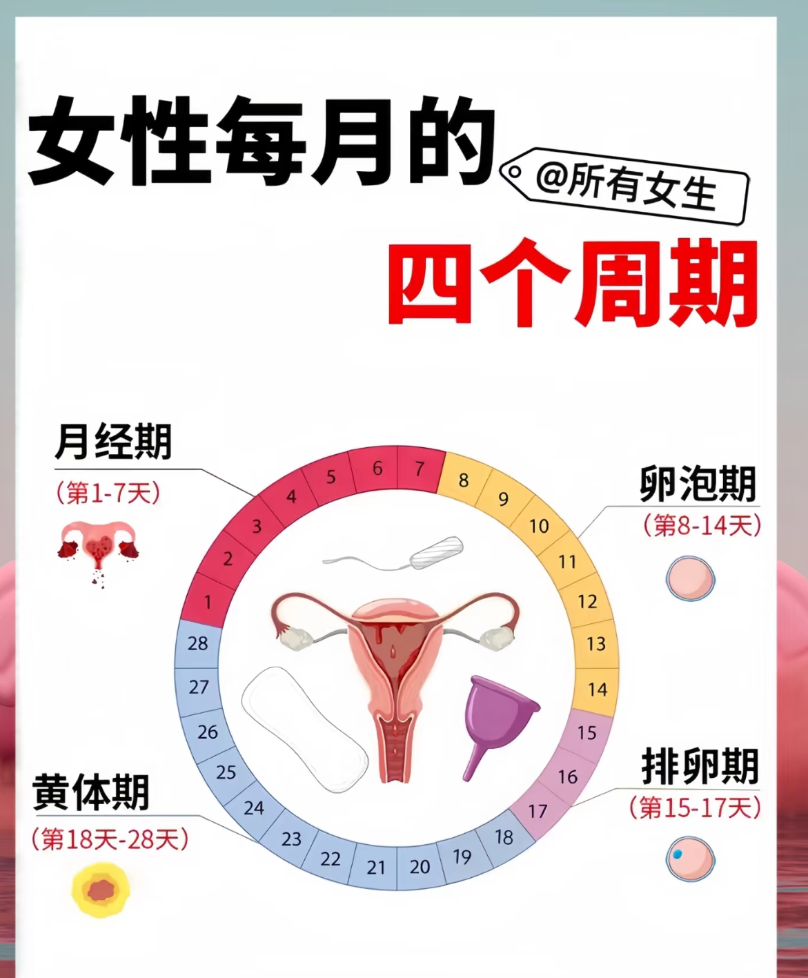 排卵期过后多久来月经