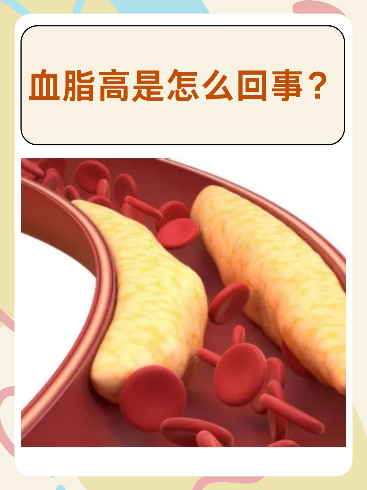 什么是血脂