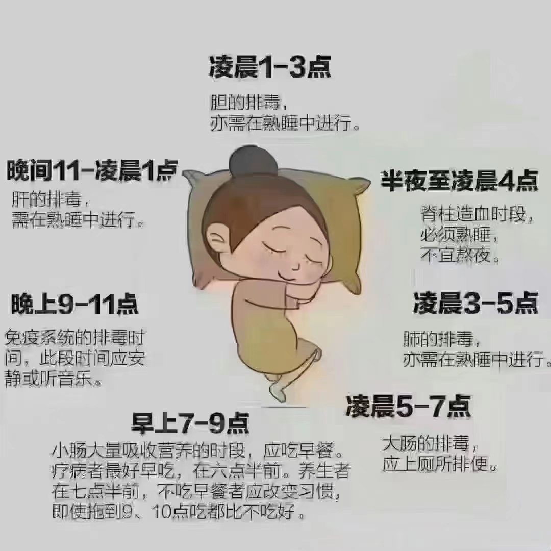 每天晚上都做梦是为什么