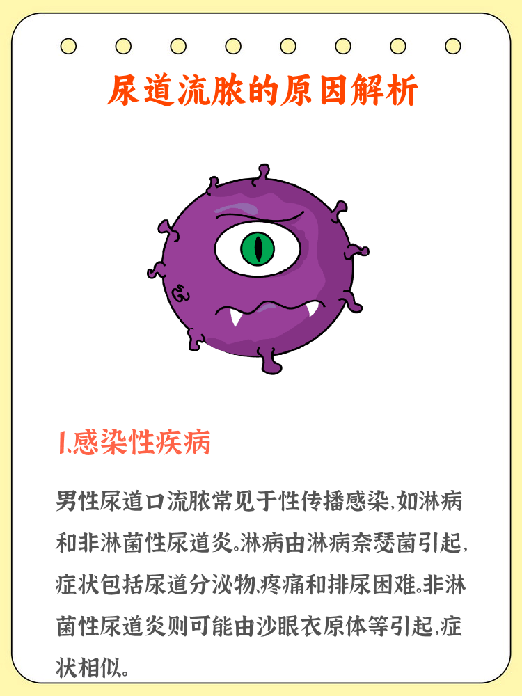 淳于旭尧
