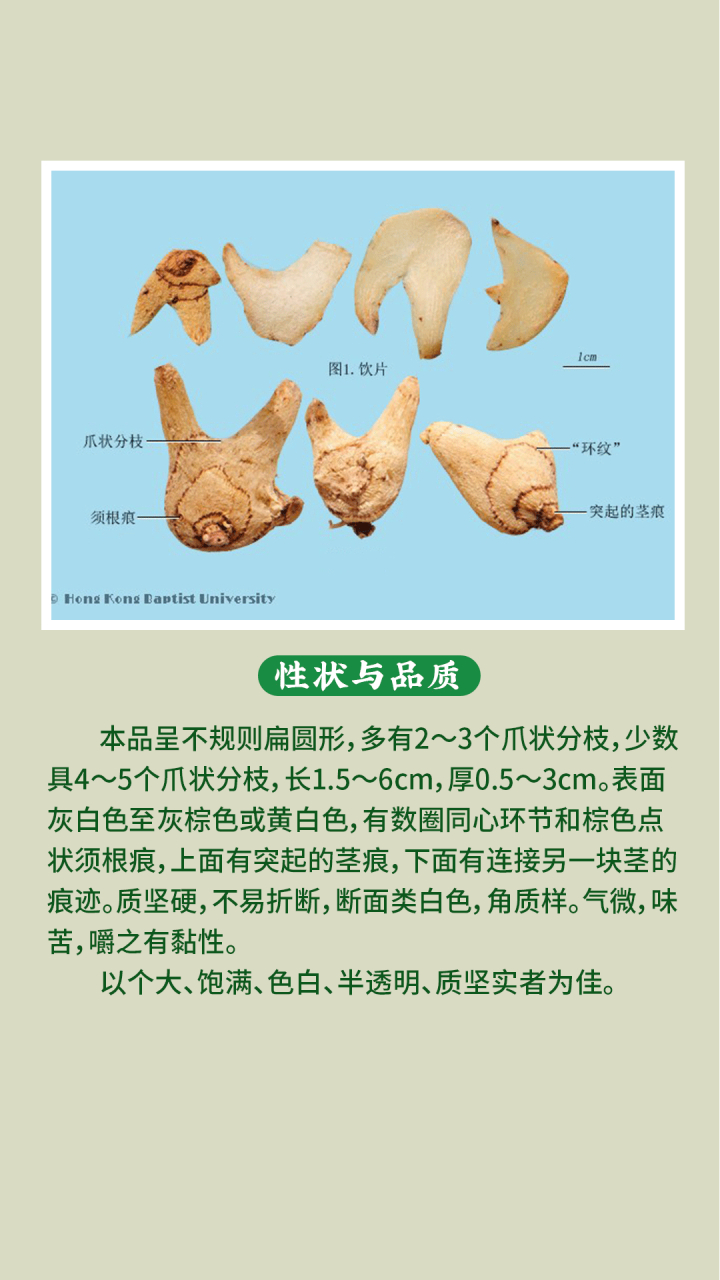 白芨的功效与作用