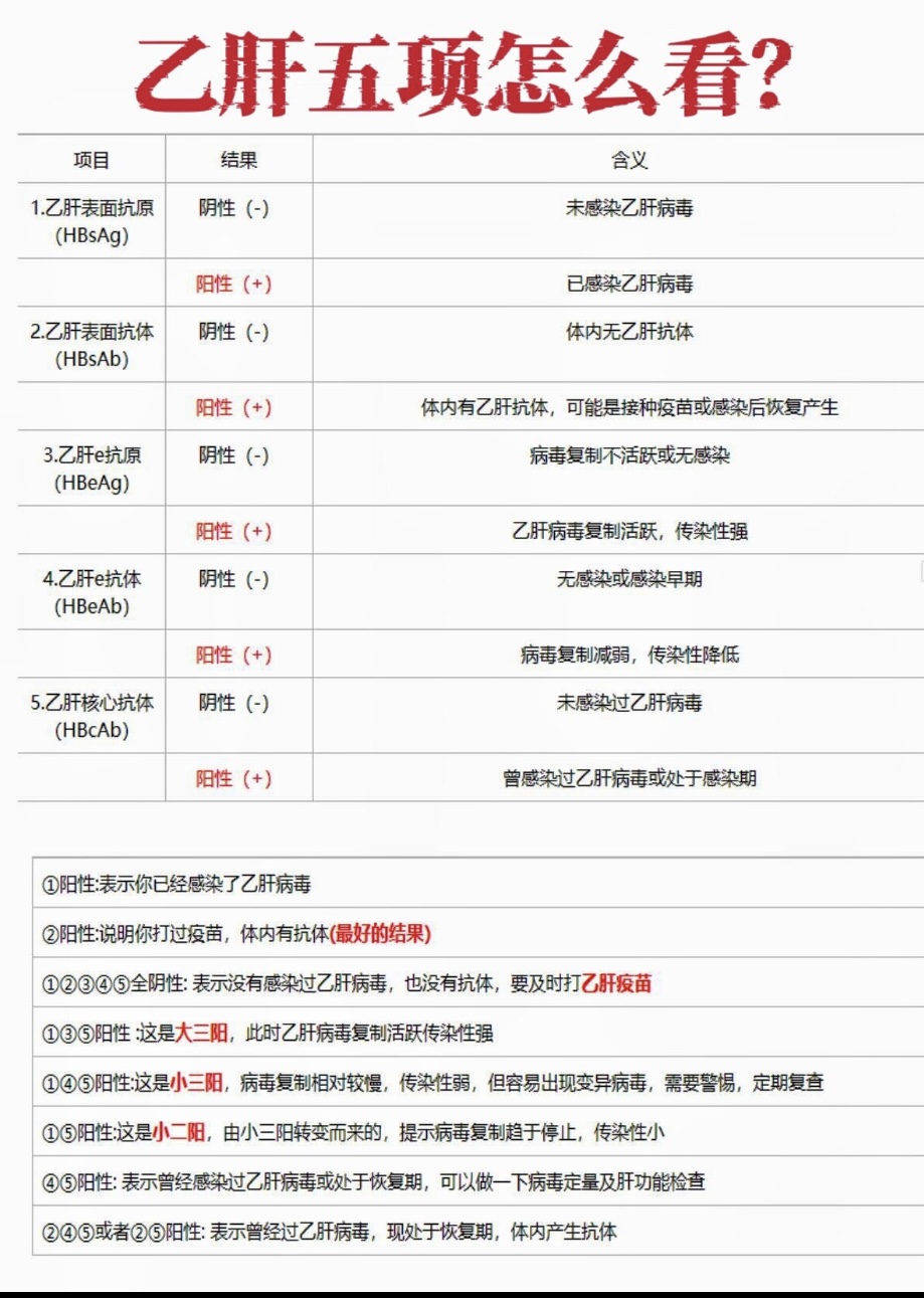 什么是乙肝两对半对照表