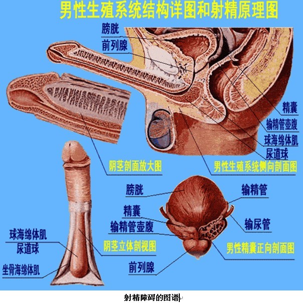 男人射精有没有可能射一半留一半
