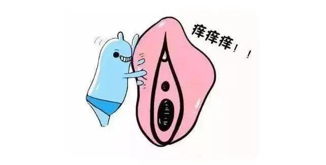 女人在过性生活的时候,把腿张开,就会露出阴道吗?