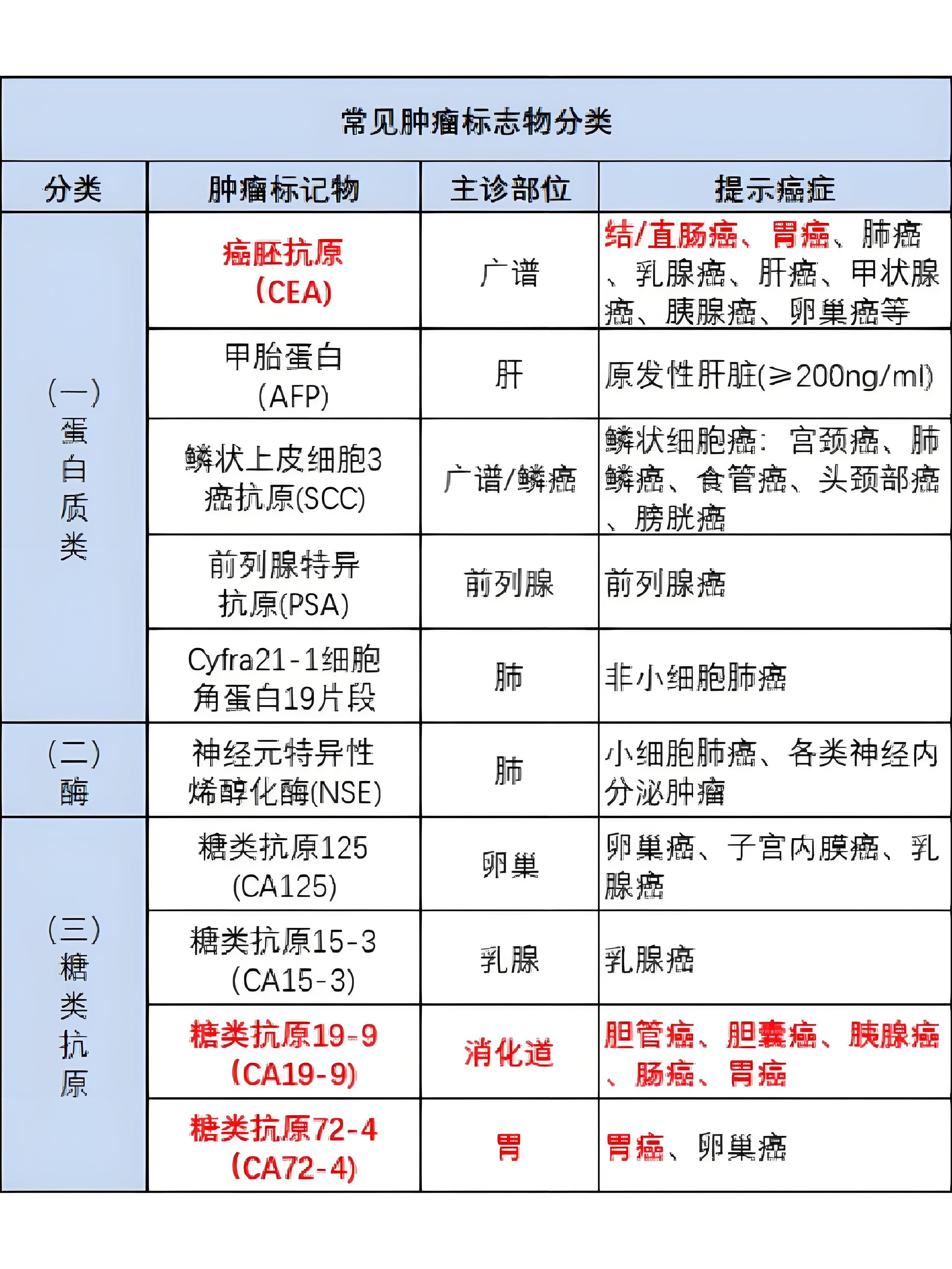 什么是甲胎蛋白