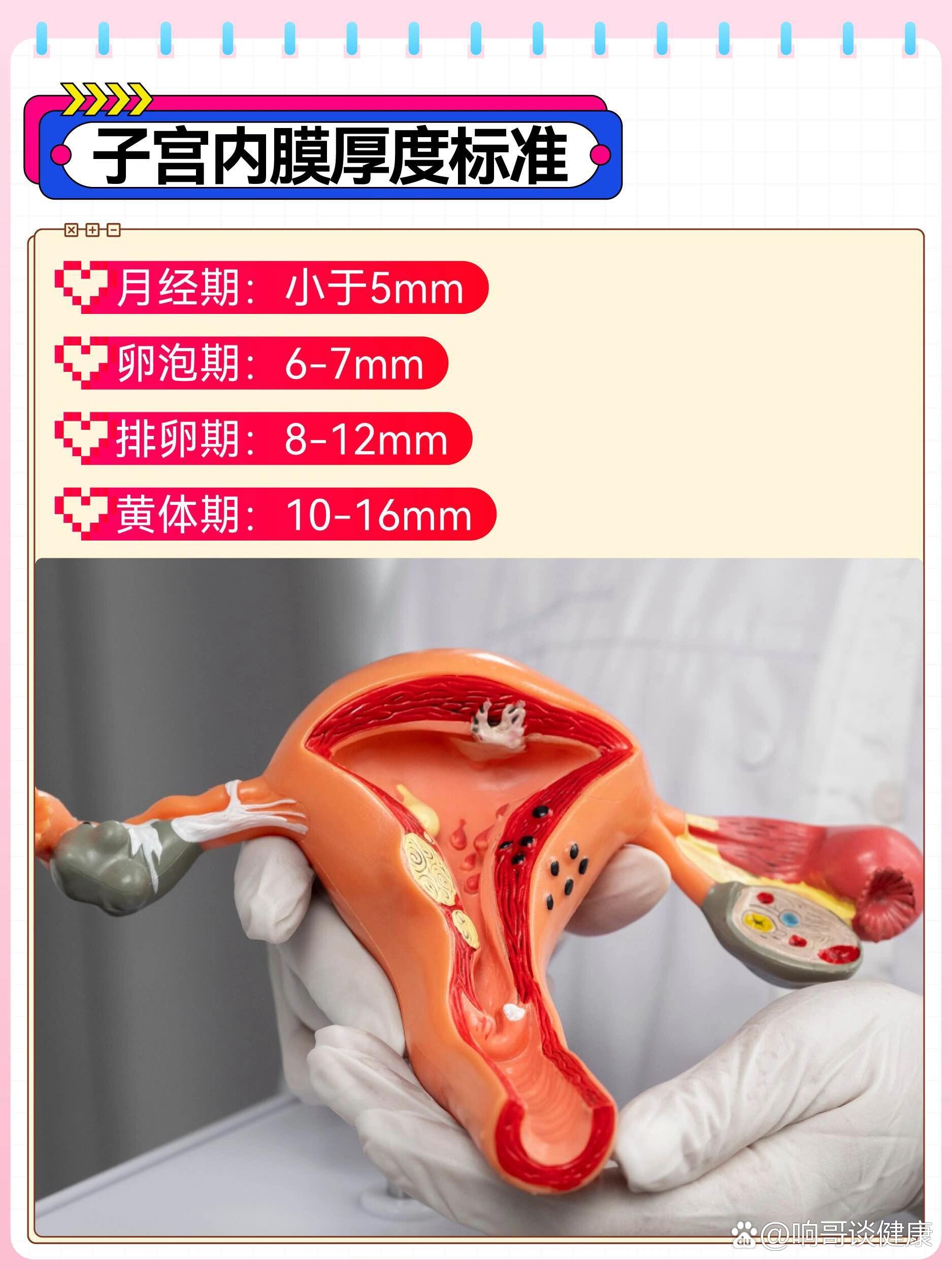 子宫内膜薄怎么办