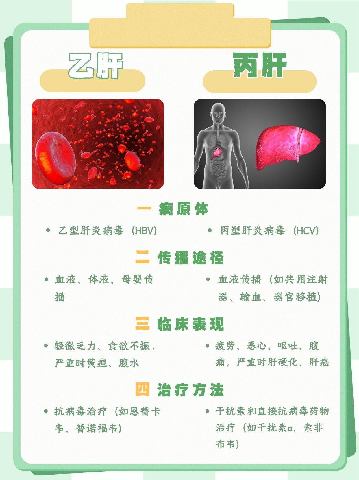 什么是丙型肝炎抗体
