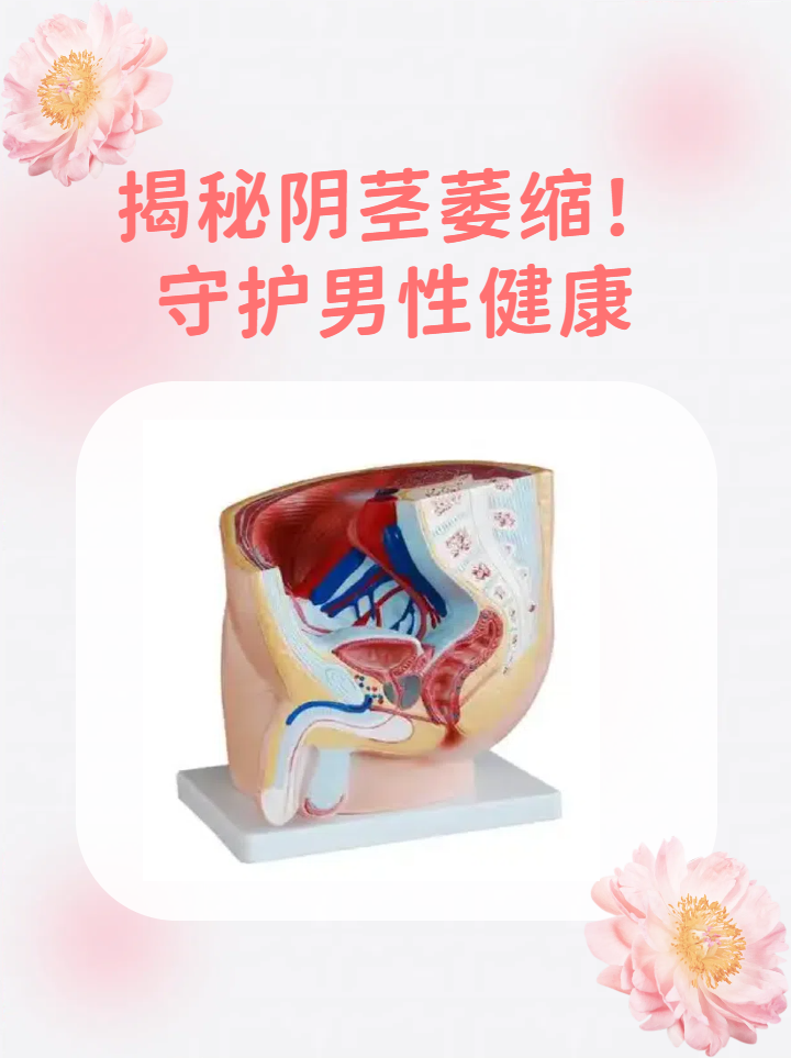 男人阴劲正常是多长