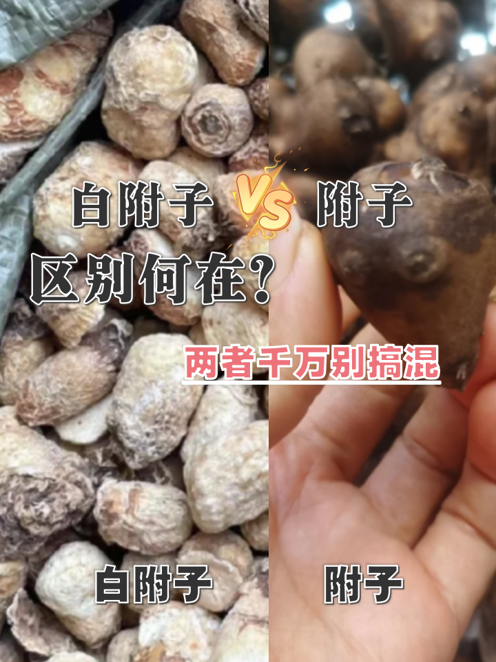 白附子的功效与作用