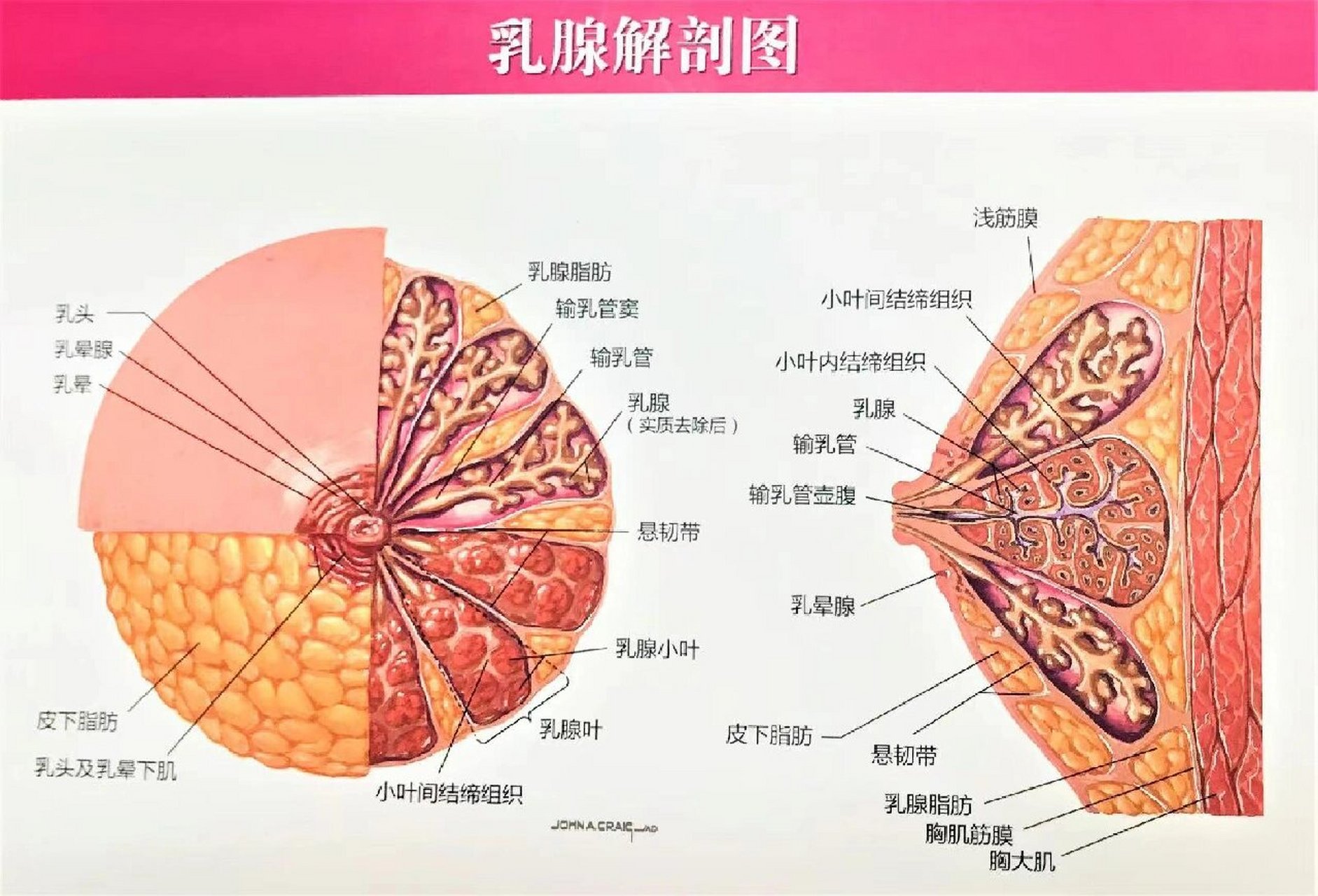 国际要闻 第102页