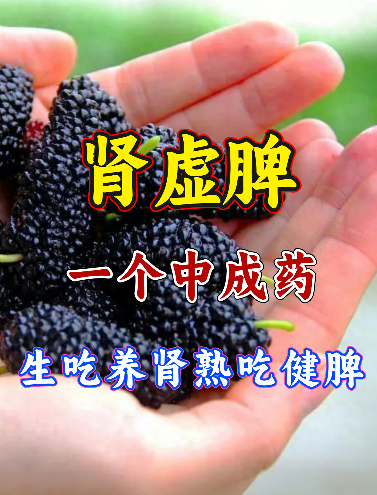 肾阳虚吃什么食物最好