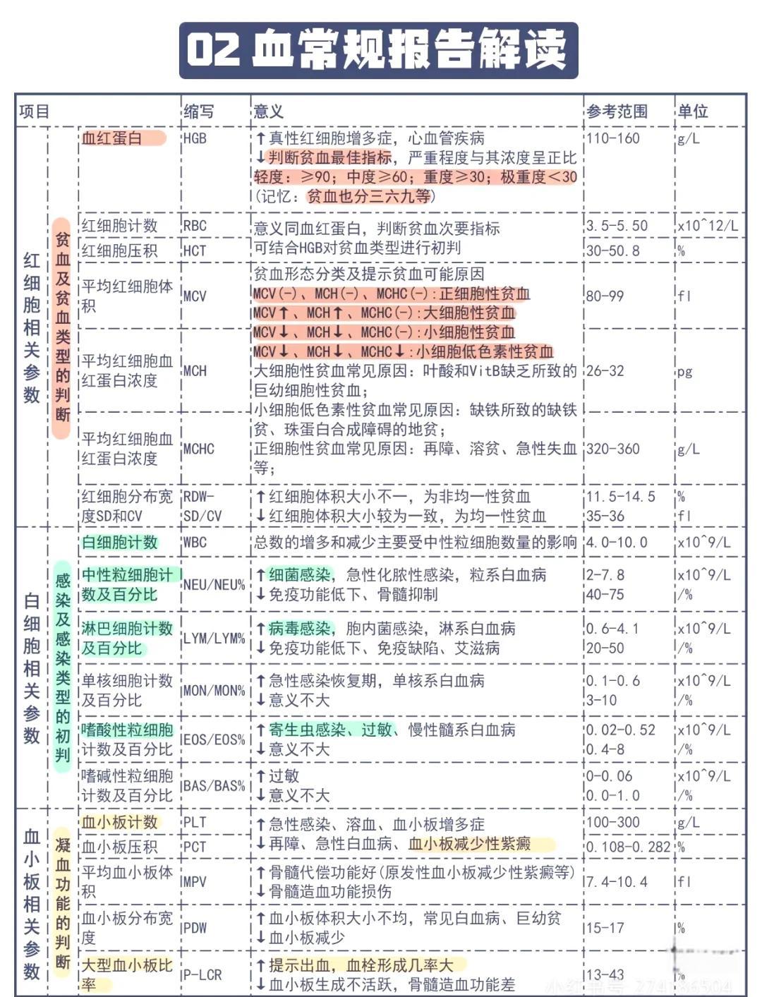 血检需多少钱
