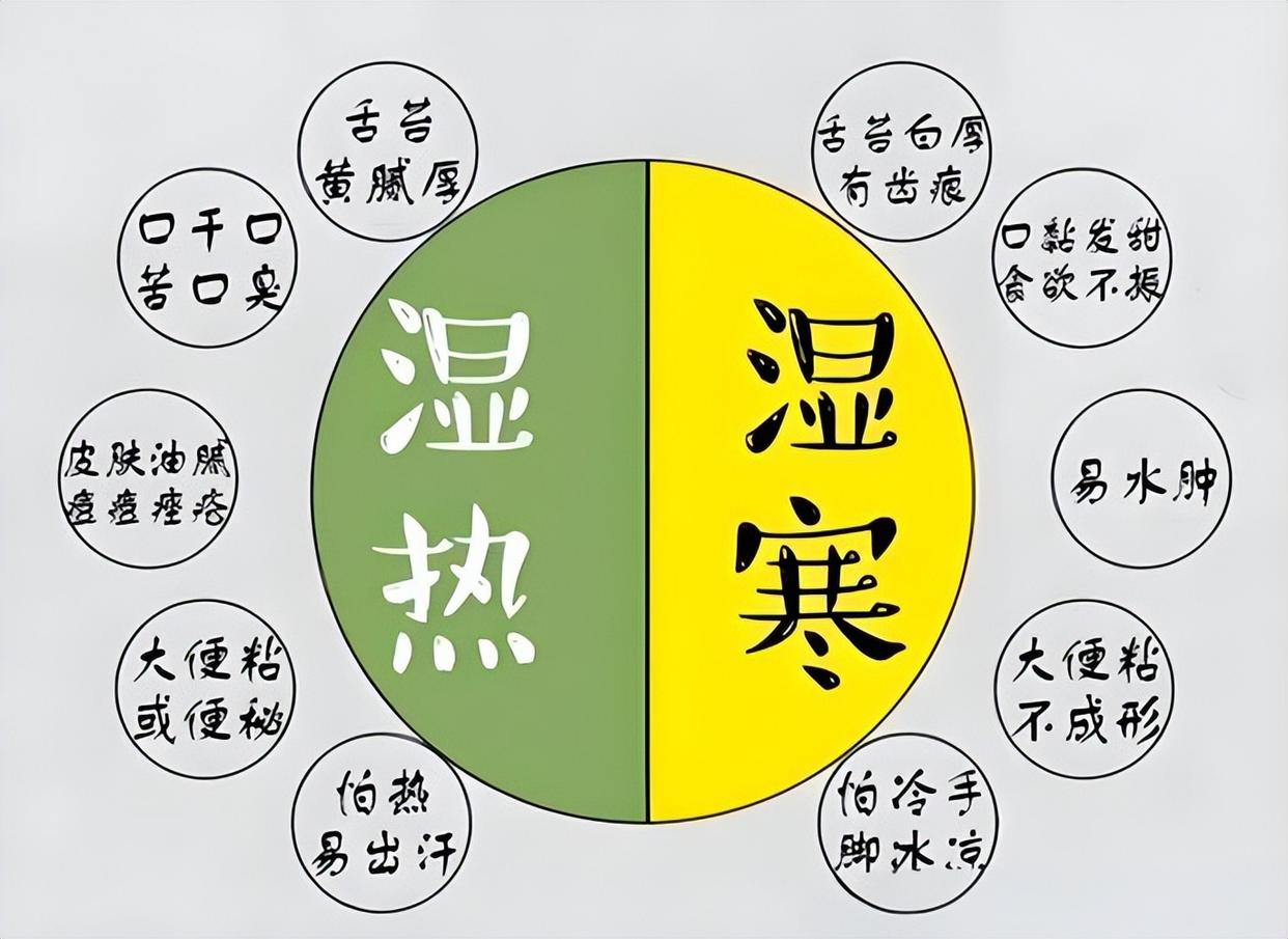 二陈汤的功效与作用