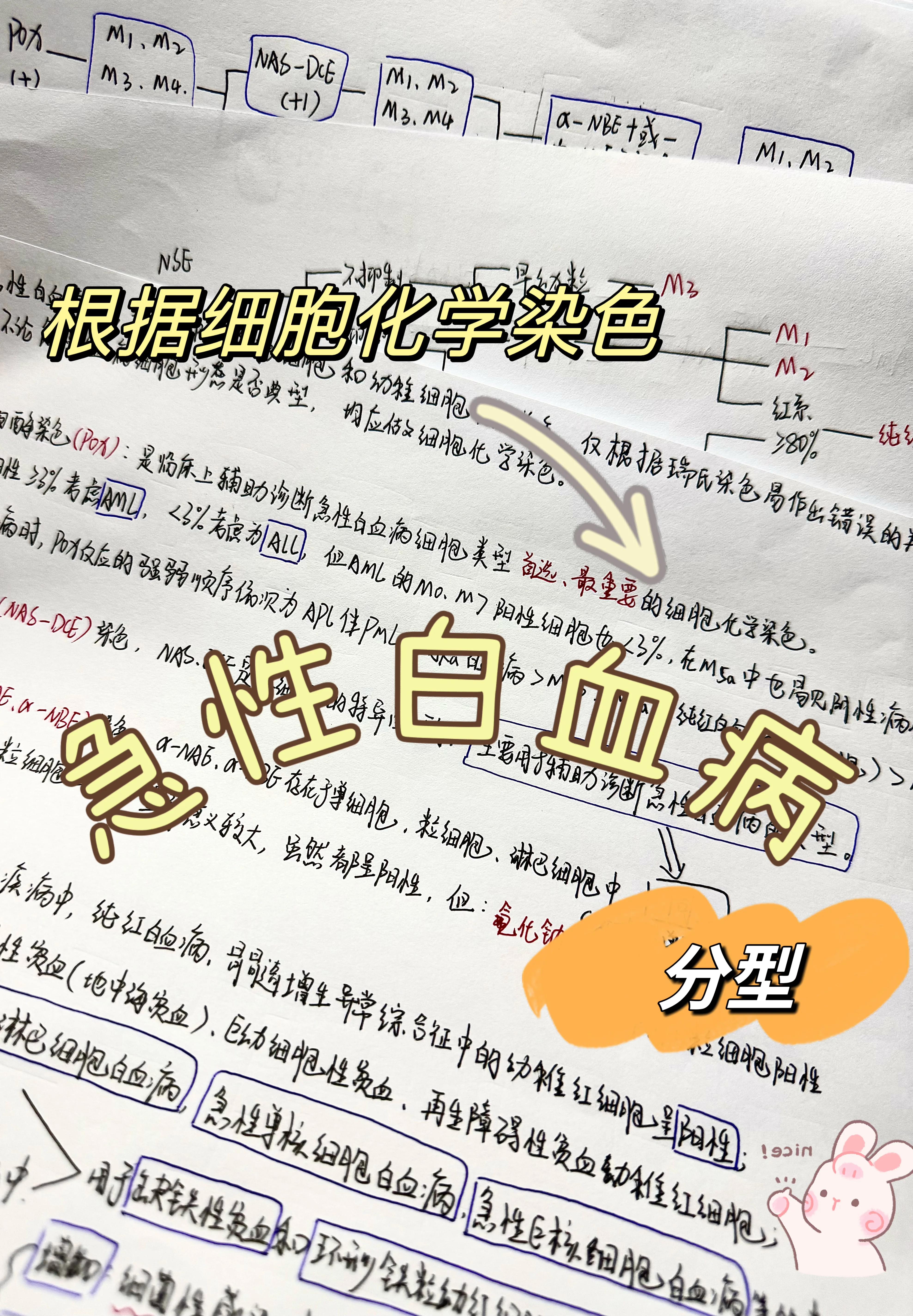 儿童白血病的血常规指标
