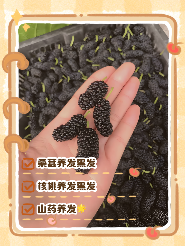头发稀少吃什么
