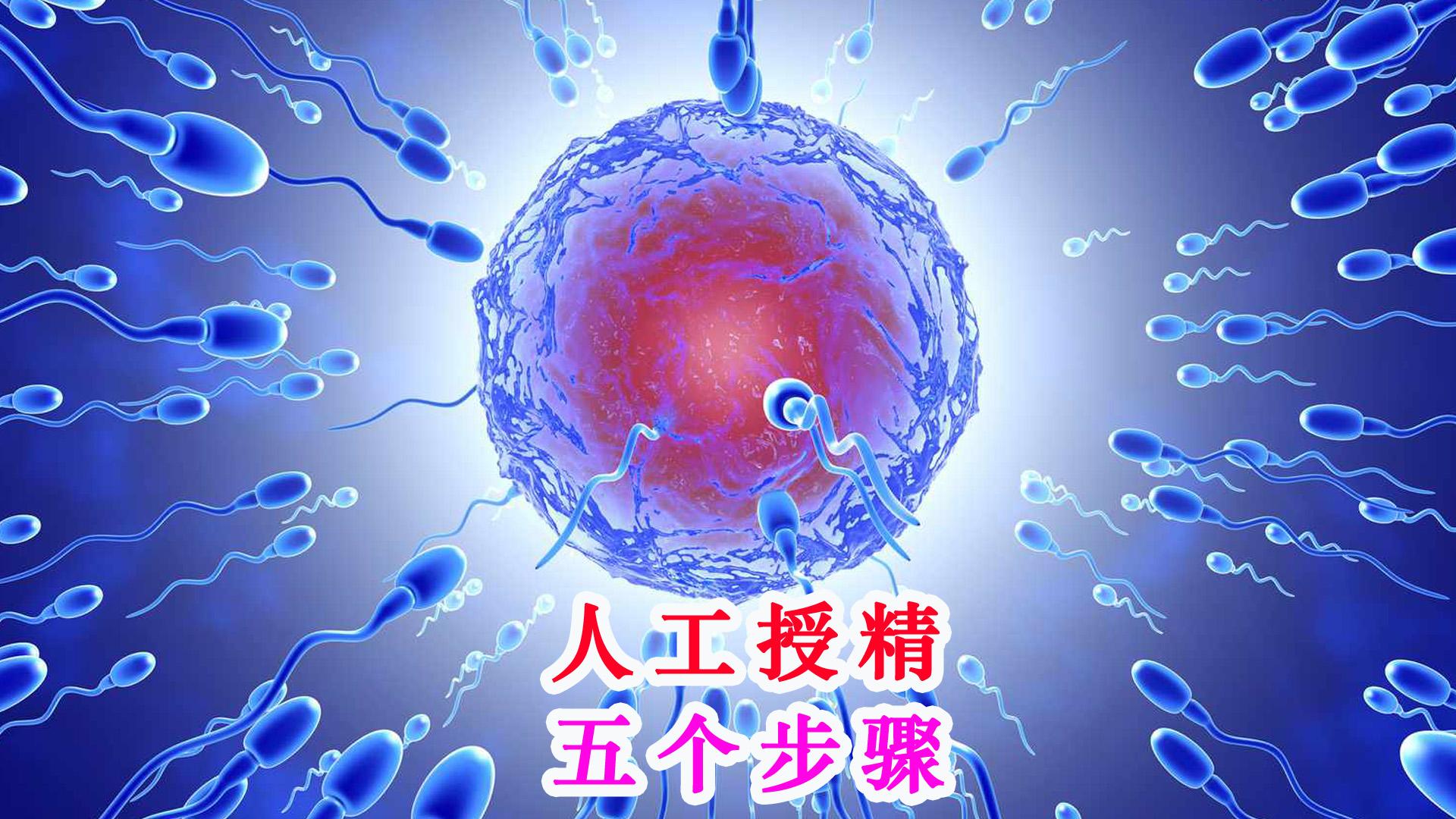 什么是人工受孕