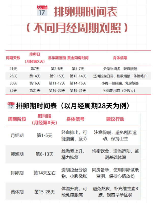 排卵什么时候