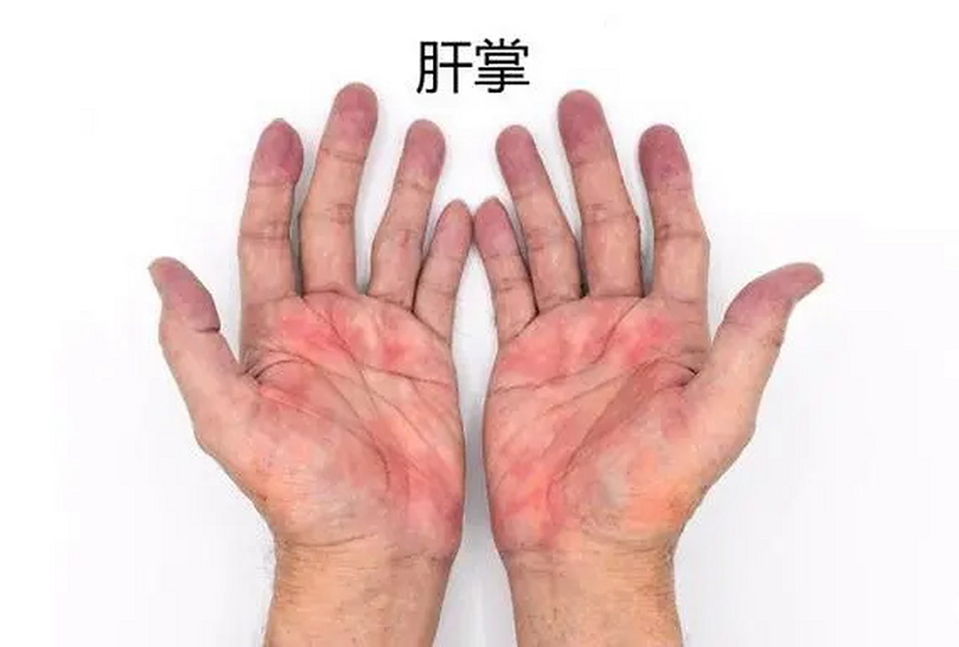 孔波鸿