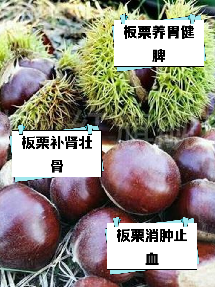 板栗的营养价值功效
