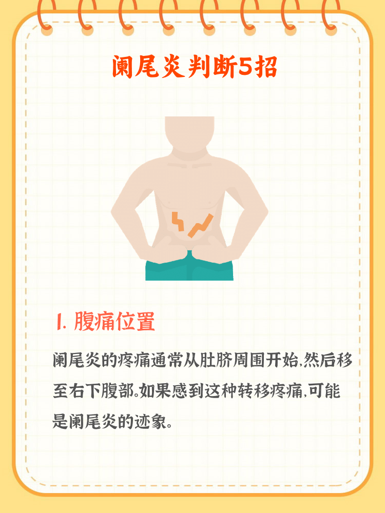 肚脐右边是什么部位