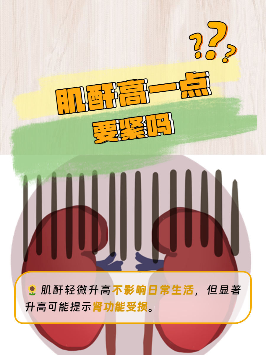 血肌酐高是怎么回事