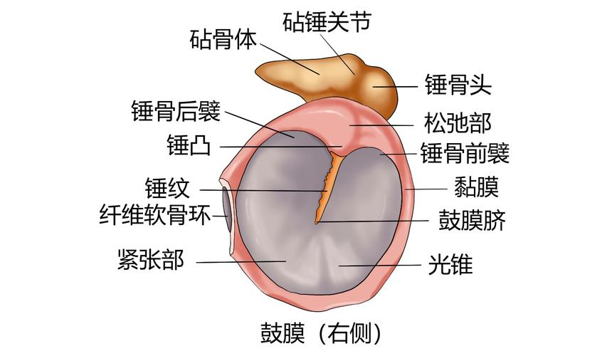 鼓膜内陷怎么办
