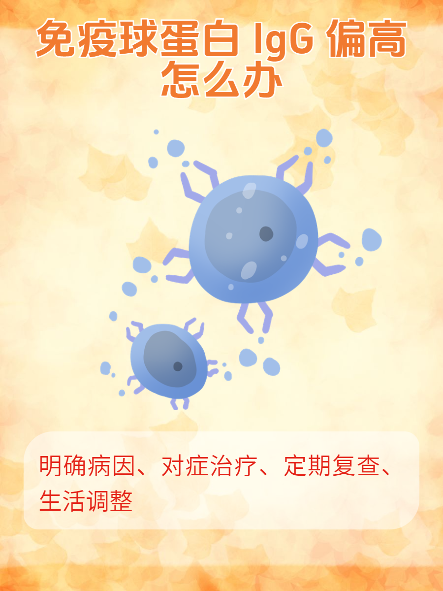 球蛋白高是怎么办??