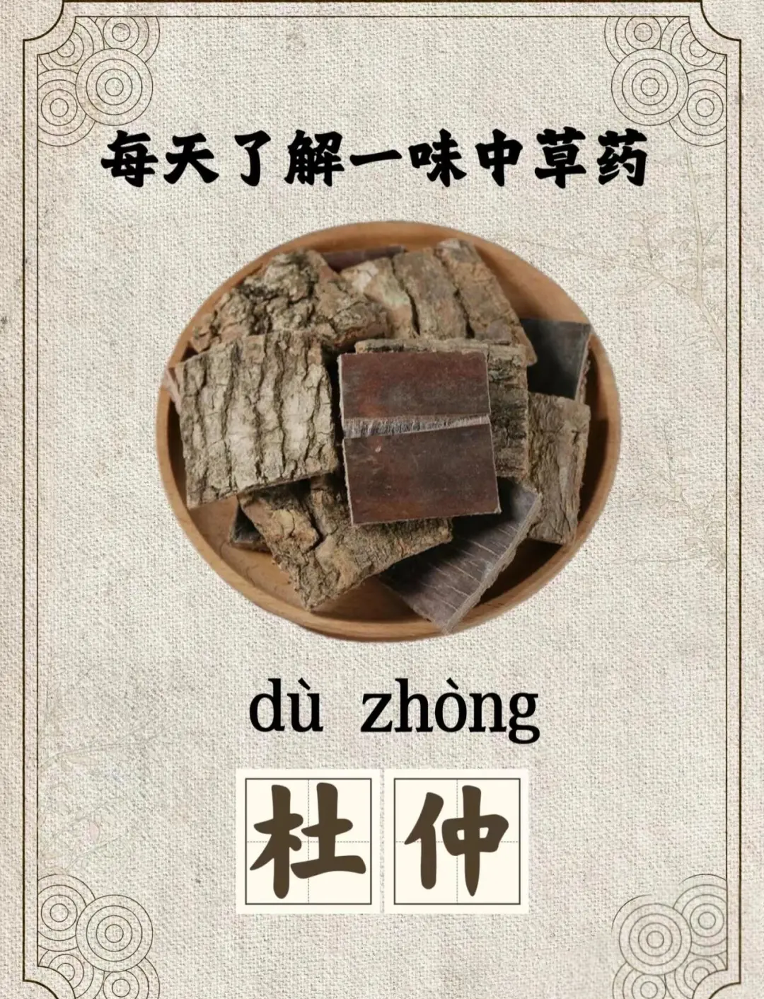 杜仲的功效和用法