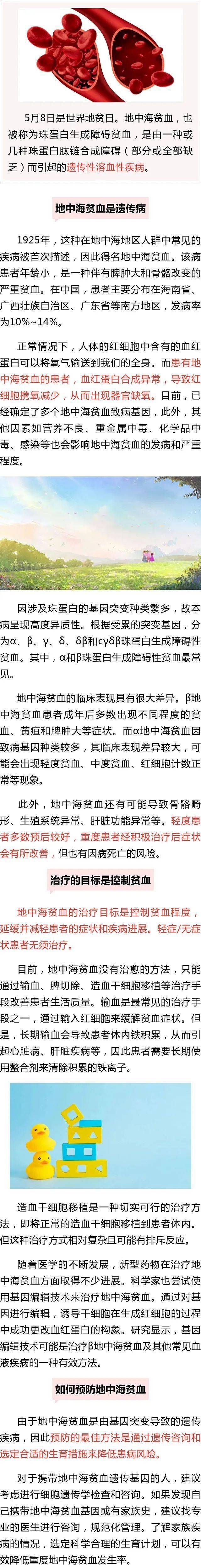 地中海贫血是什么病